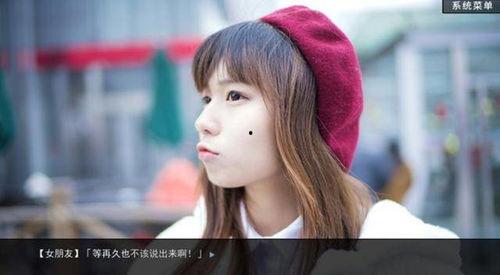 国产福利 真实,揭秘我国福利体系的创新与发展